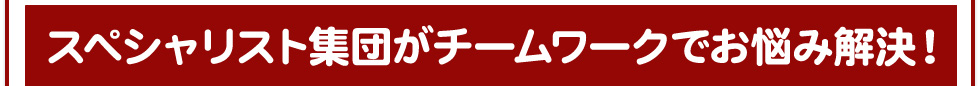 スペシャリスト集団がチームワークでお悩み解決！